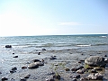 Western Michigan [2010] 806
